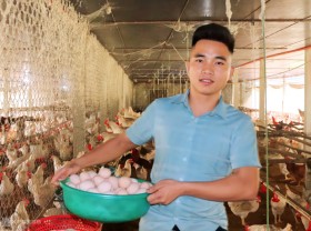 Image: From empty hand to farm owner of 3,000 laying hens