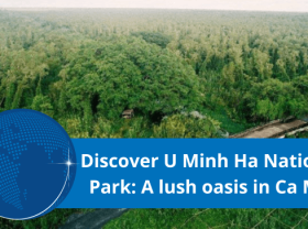 Image: Detailed U Minh Ha travel experience for a "leisure" trip