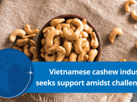 Image: Vietnamese cashew industry seeks support amidst challenges
