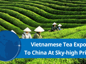 Image: China purchases this product from Vietnam at exceptionally high prices