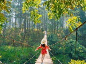 Image: Conquering the super chill La Ba suspension bridge in Da Lat, check-in is a beautiful photo right away 