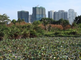 Image: PM acts to deal with woes in land and construction materials