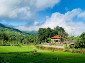 Image: The engineer bought 1,000m2 of land on the outskirts of Hanoi for his wife to raise chickens, grow vegetables, and build a unique stilt house