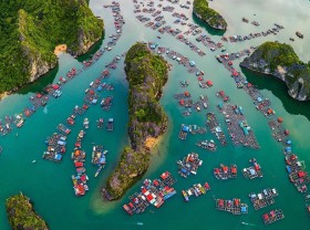 Image: Vietnamese place Leonardo DiCaprio called “paradise”, right in Hai Phong that many people do not know