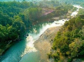 Image: Discover Madagui: the only forest city in Vietnam
