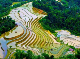 Image: 20+ spots included: Top best things to do in Ha Giang Province, Vietnam