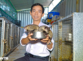 Image: Billionaire reveals the secret of raising weasel very strange, super profitable
