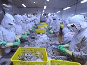Image: Weak demand drives down shrimp prices