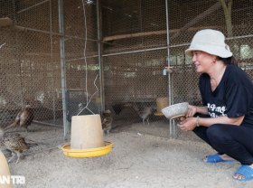 Image: The leader of the Women’s Union got out of poverty by raising pheasants
