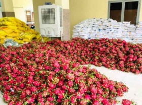 Image: Agro-forestry-fishery exports bring US$20.2 billion in Jan-May
