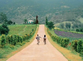 Image: European-style natural scenery at The Florest, Da Lat (Vietnam)