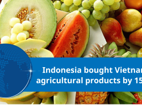 Image: Indonesia massively imported Vietnamese agricultural products, increasing by 1520%