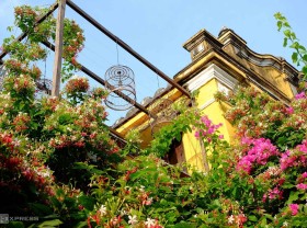 Image: What makes Hoi An ancient town outstanding among Vietnam spots?