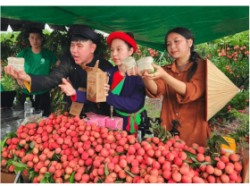 Image: Livestreaming on TikTok helps promote and sell specialties of Bac Giang, earning VND 1.2 billion within 4 hours