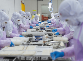 Image: Seafood enterprises alter strategies to maintain export orders