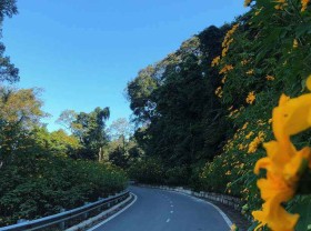 Image: Top 7 eco-tourism areas worth experiencing in Ba Vi, Vietnam