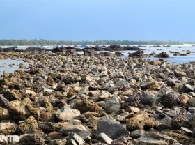 Image: Fishermen “pick up money” on coral reefs