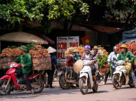 Image: Going to Luc Ngan to pick lychee