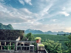 Image: Pocket list of beautiful cafes in Moc Chau suitable for ‘virtual living’