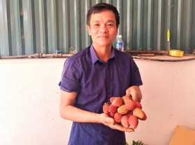 Image: Selling strange fabric as big as duck eggs, the price is 3 times higher than usual, the farmer makes a huge profit