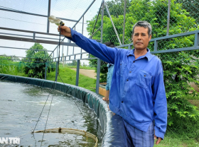 Image: The old farmer “played big”, and took the chance to change his life at the age of 60