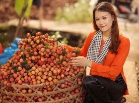 Image: Discover the “miniature West” in Hai Duong fabric land
