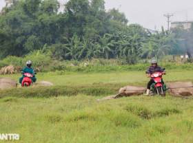 Image: Doing a “flying motorcycle” circus on the grasslands, pocketing millions of dongs every day