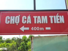 Image: Image of the largest beach fish market in Central Vietnam
