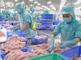 Image: Seafood exporters feel growing pinch
