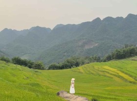 Image: With 2 million VND you can go to explore Pu Luong which is entering the most beautiful ripe rice season