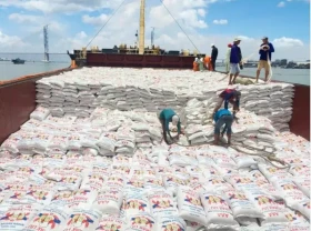 Image: Rice export: Big chance and risk prognosis