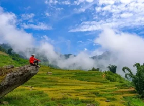 Image: The season of ripe terraced fields in Y Ty
