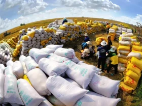 Image:  Vietnam agricultural product prices continue to set a record