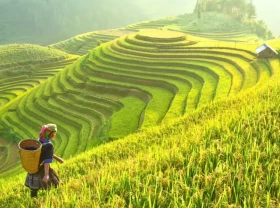 Image: Hot: Vietnam issues e-visas to citizens of all countries