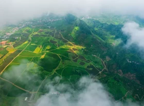 Image: Green Tea Season in Moc Chau (Vietnam)