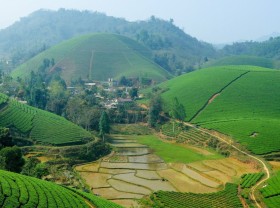 Image: Waking up in a sea of clouds at Suoi Giang of Yen Bai, Vietnam