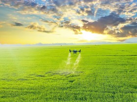 Image: Vietnam will sell "green" rice and clean air