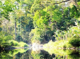Image: Binh Phuoc travel guide (P1)