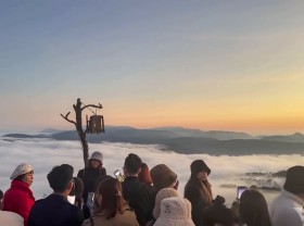 Image: Moments of Da Lat, Vietnam
