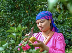 Image: Hope Farm Launches New Season of Organic Hope Oranges with Higher Prices