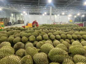 Image: Coffee, Rice and Durian Prices Surge at the Start of the Year in Vietnam