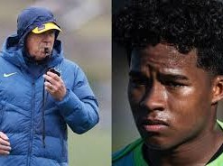 Image: Carlo Ancelotti Faces Criticism Over Endrick's Absence in Brazil's Lineup