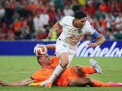 Image: Cody Gakpo's Emotional Goal in Netherlands vs Morocco Match