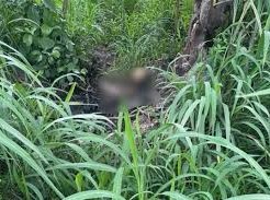Image: DNA Testing of Bones Believed to Belong to Missing MC in Ho Chi Minh City