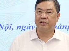 Image: Vietnam's Deputy Prime Minister Advocates for Domestic Mineral Exploitation
