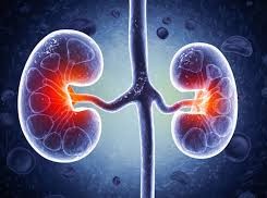 Image: 26-Year-Old Faces Kidney Failure: 5 Harmful Habits to Avoid