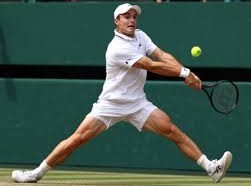 Image: Alexander Zverev Dominates Arthur Fery in Wimbledon Semi-Finals