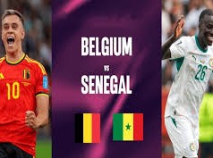 Image: Belgium vs Senegal: European Red Devils Aim for Victory