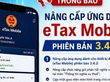 Image: eTax Mobile: Quick Tax Debt Checks and Travel Restrictions