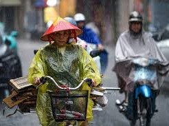 Image: Heavy Rainfall Expected in Northern and Southern Vietnam